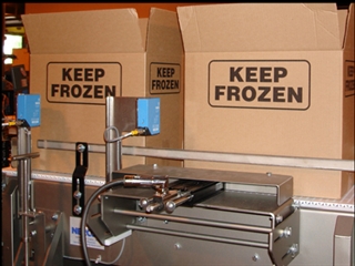 Frozen Food Conveyor