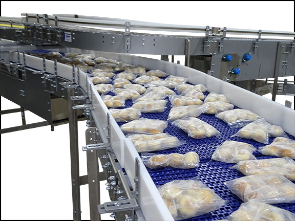 Food Safe Conveyor