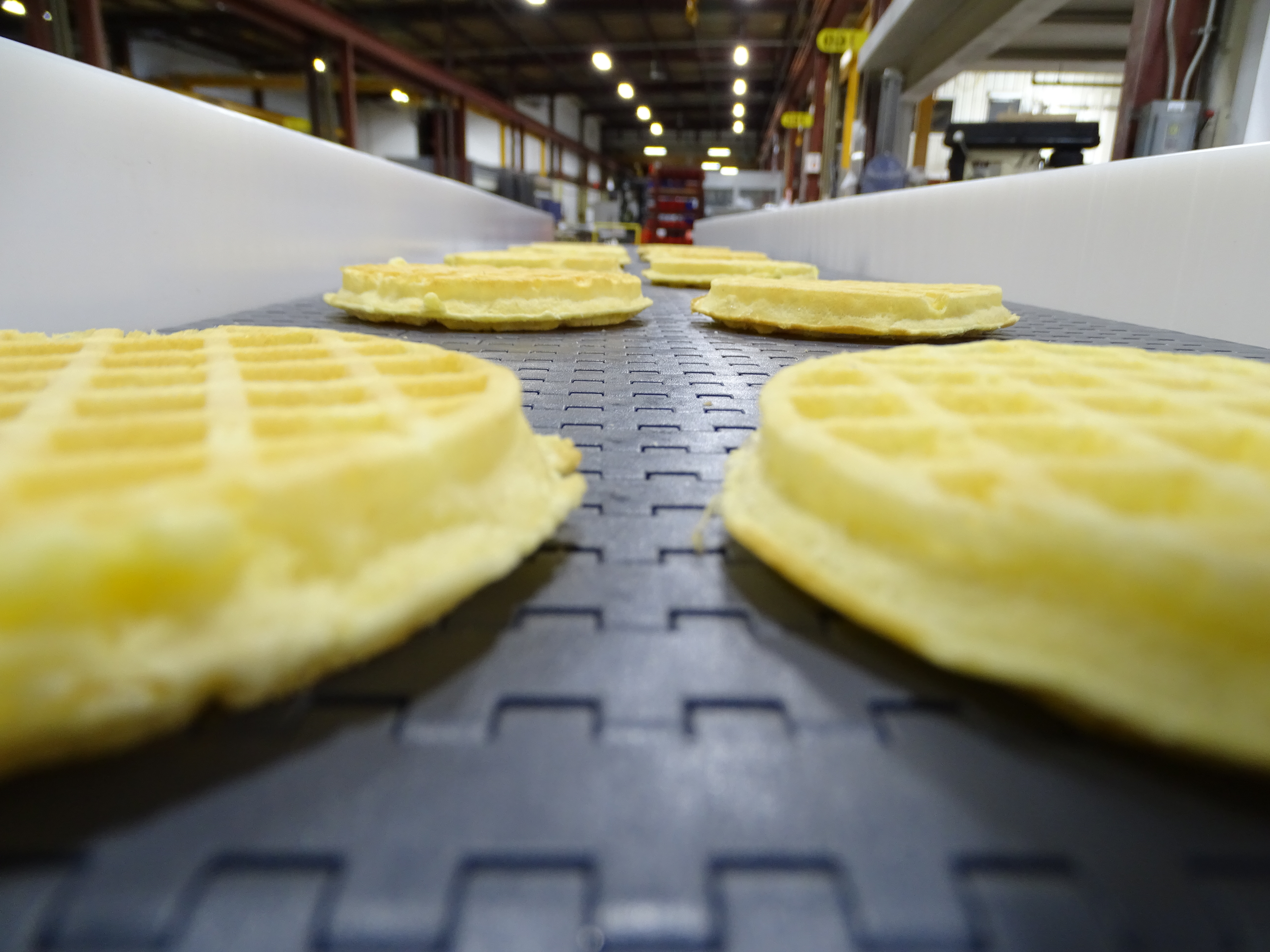 MatTop Conveyor With Waffles