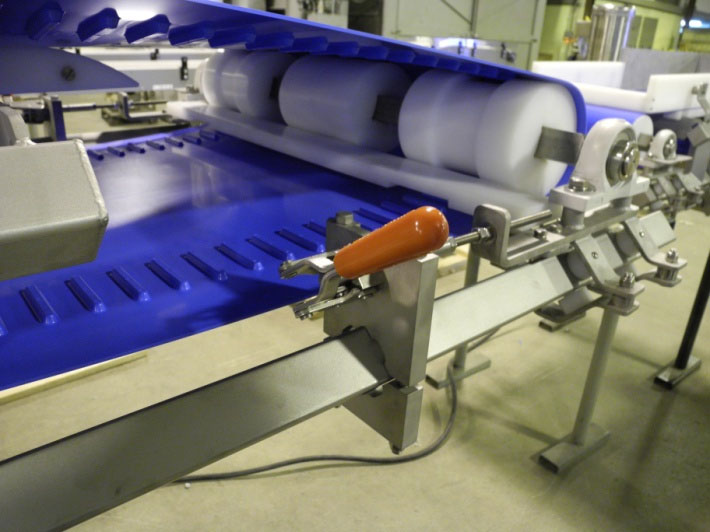 Sanitary Conveyor