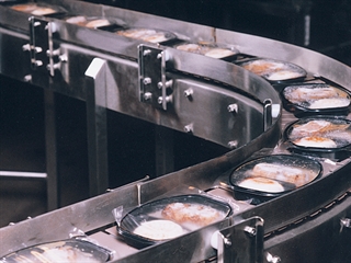 Frozen Food Conveyor