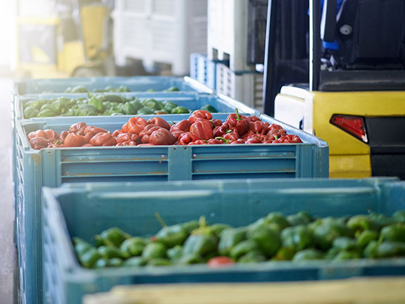 Vegetables in Crates