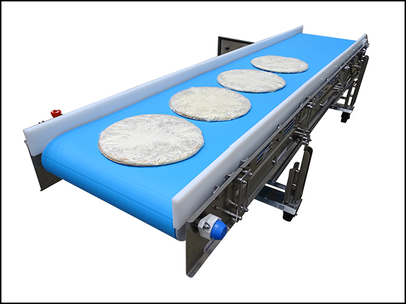 Nercon has extensive experience in sanitary conveyor construction.