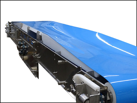 Nercon has extensive experience in sanitary conveyor construction.