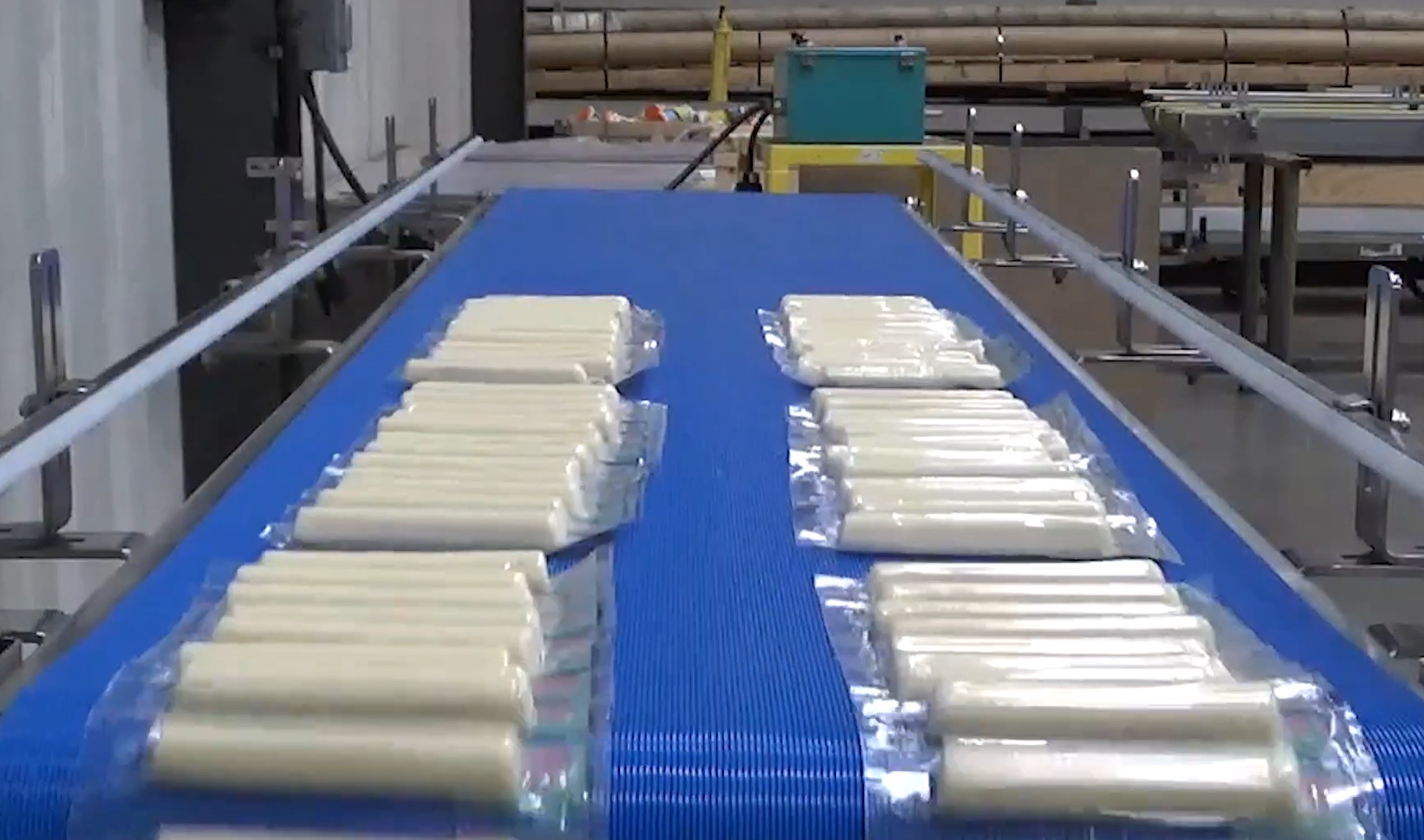 Dairy Conveyor Systems