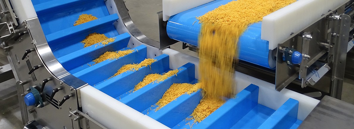 Food Safe Conveyor Designs